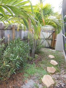 mesidegatetofrontofhouse